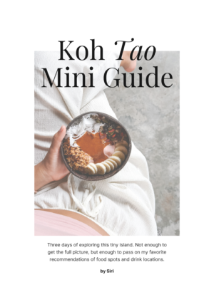 Koh Tao Mini Guide